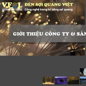 Gioi thieu VFOL 300x300 - CATALOGUE, BÁO GIÁ