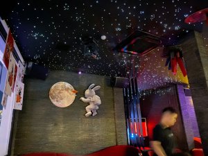 Narzil Hookah Bar 6 300x225 - HÌNH ẢNH TRẦN SAO NHÂN TẠO